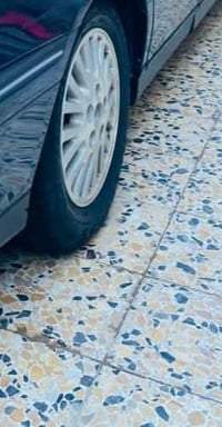 ويل • مراوس بويل • نجمه