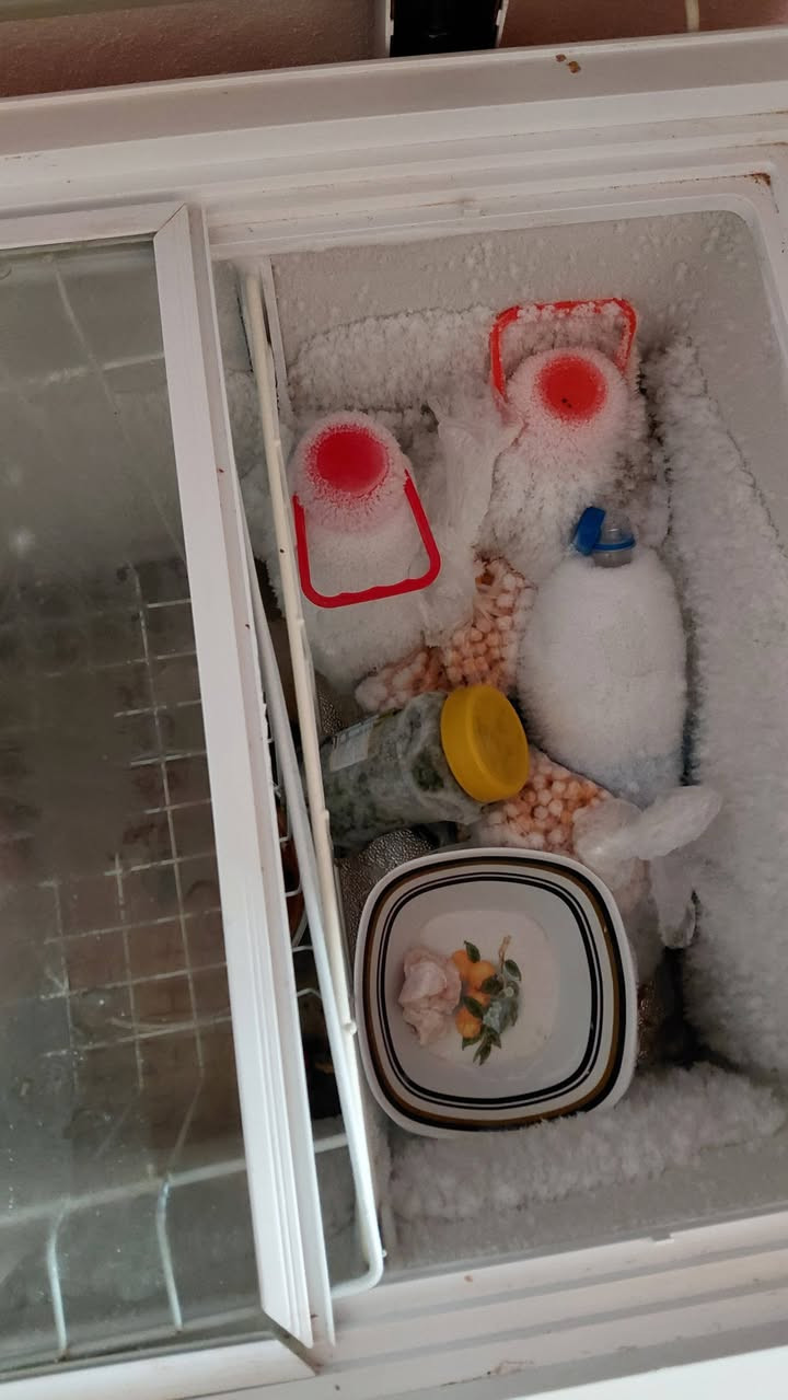 مجمده حجم وسط للبيع جديده ماداخله تصليح عل شرط السعر 250
*********** مكلف بل نشر
