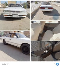 رقم نجف • جاهزه وشغاله • المجر الكبير