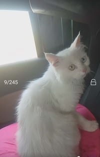 للبيع • تواصل خاص
