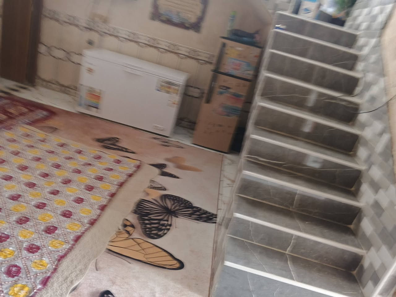 سلام عليكم  بيته  150 متره مشتمل بحي خضير   مضيف6/3 بتلاثه  مطبخ 4/4  هول 5/4  قرفه 5/4 قرفه وحده***********.     /  ***********. الاستفسار
