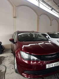 باسفيكا • ٢٠١٧ • بدون صبغ