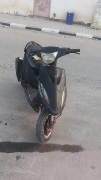 شلعه • ٤٩ • كلج رياضي