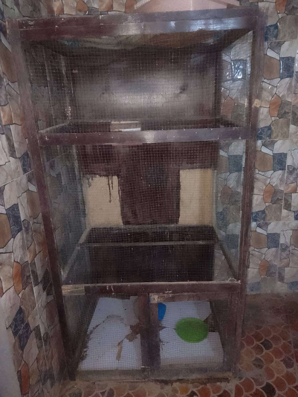 قفص للييع مال طيور


**إذا كنت صاحب هذا الإعلان وتريد حذفه لأي سبب، رجاءا أرسل رسالة إلى الدعم الفني**