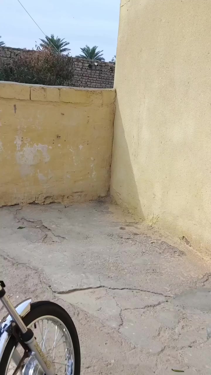 السلام عليكم دراجه تعمير 2025 مراوس ب كامله نزل صوره بل تعاليق و اني طبلك هم شي كامله حته الو متياز عادي و هم شي مكان محاويل و ناحية الإمام


**إذا كنت صاحب هذا الإعلان وتريد حذفه لأي سبب، رجاءا أرسل رسالة إلى الدعم الفني**