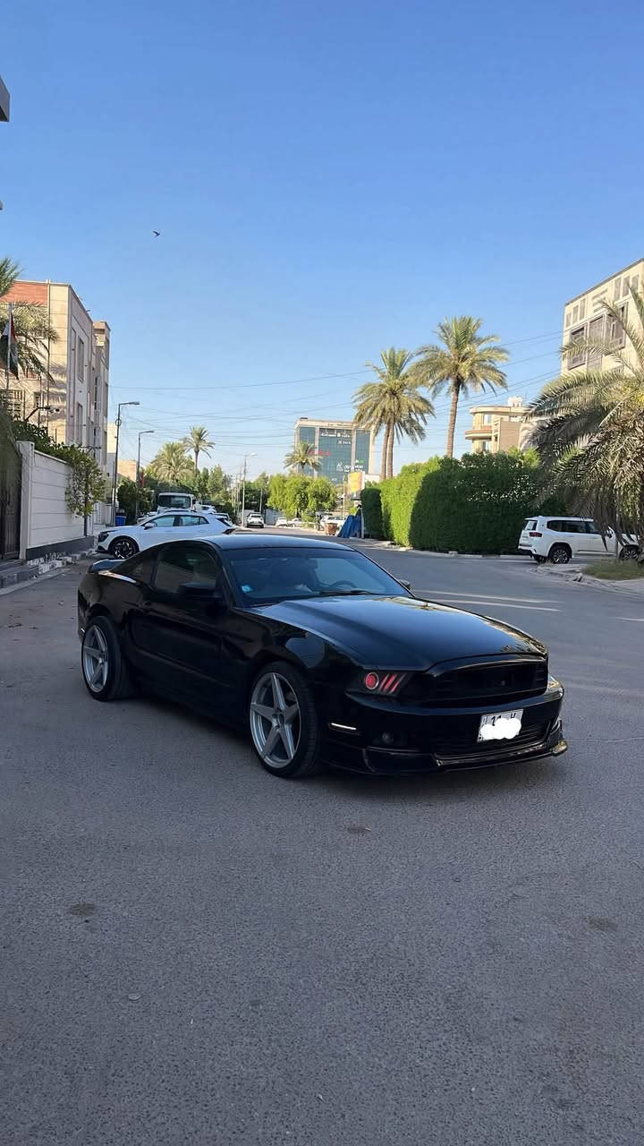 السلام عليكم الحنطور للبيع او المراوس 🐎

موستنك 2013 v6 

السياره باسمي تحويل ثاني يوم رقمها بغداد 

ماشية 90 ميل وبيها قطعتين صبغ  فقط بنيد وجاملغ 

عليها برمجة طلقات وهدرز وتفريغ 

صدر امامي خلفي جديد 

شباك ودفيوزر ولحيه شيلبي 

منضومه المي كلها جديده صار فتره بسيطه من بدلت ( راديتر مروحه واتر بم ولف حماوه ) كله جديد 

تخم بلكات نوزلات فيت بم كله جديد تنسا 

باتري وسلف جديد 

شاشة من احسن نوعيه شديتلها وتدعم ( الكار بلي ) ولا تحمى ولا تعلك 

اكزوز ريمونت يعني لمرور يصير صاحبك 

ويل 20 نجمة  تو سايز اصلي  بي نصبه مخيفه

زرع عدسات عيون الشيطان يم اسرار الاسدي 

مكينه وكير وكهربائيات  كفاله وتفحص وين متريد 

اعتذر مرح اذكر السعر لان هوايه عالم تكسر بحلال الناس وسياره مصروف عليها هوايه ومتتقارن بل مهجومات ( السعر خاص ) 
*********** واتس
