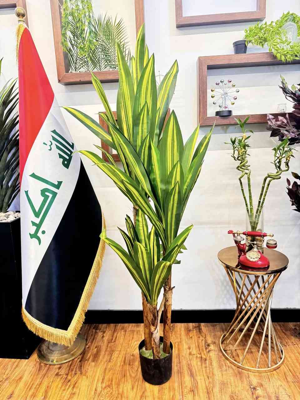🌿✨ شركة الشارقة للديكور ✨🌿
تقدم لكم أجود أنواع النباتات الصناعية
والسنادين المصنوعة من الفوم التركي الأصلي 🌱
🌟 جودة عالية
🌟 تصاميم عصرية تناسب جميع الديكورات
🌟 خفيفة الوزن ومقاومة للعوامل الجوية
🌟 بأسعار منافسة ومناسبة للجميع
📍 يتوفر توصيل
📞 للحجز والاستفسار. ***********
