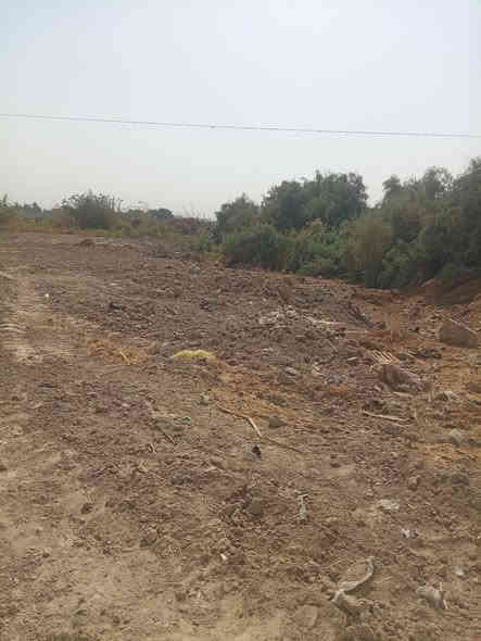 سلام عليكم ارض زراعيه للبيع الف متر بل عباسيه عله تبليط وكهربا وماي ***********
