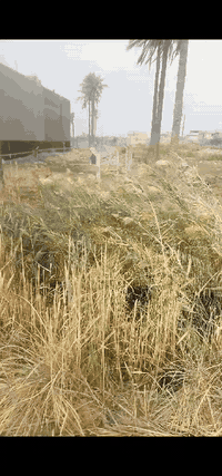 قطعه ارض مساحه ٢٠٠م زراعي سند ٢٥ حله بالوردية حي الرضا تفاصيل اتصلوا على هذا الارقام *********** ***********
