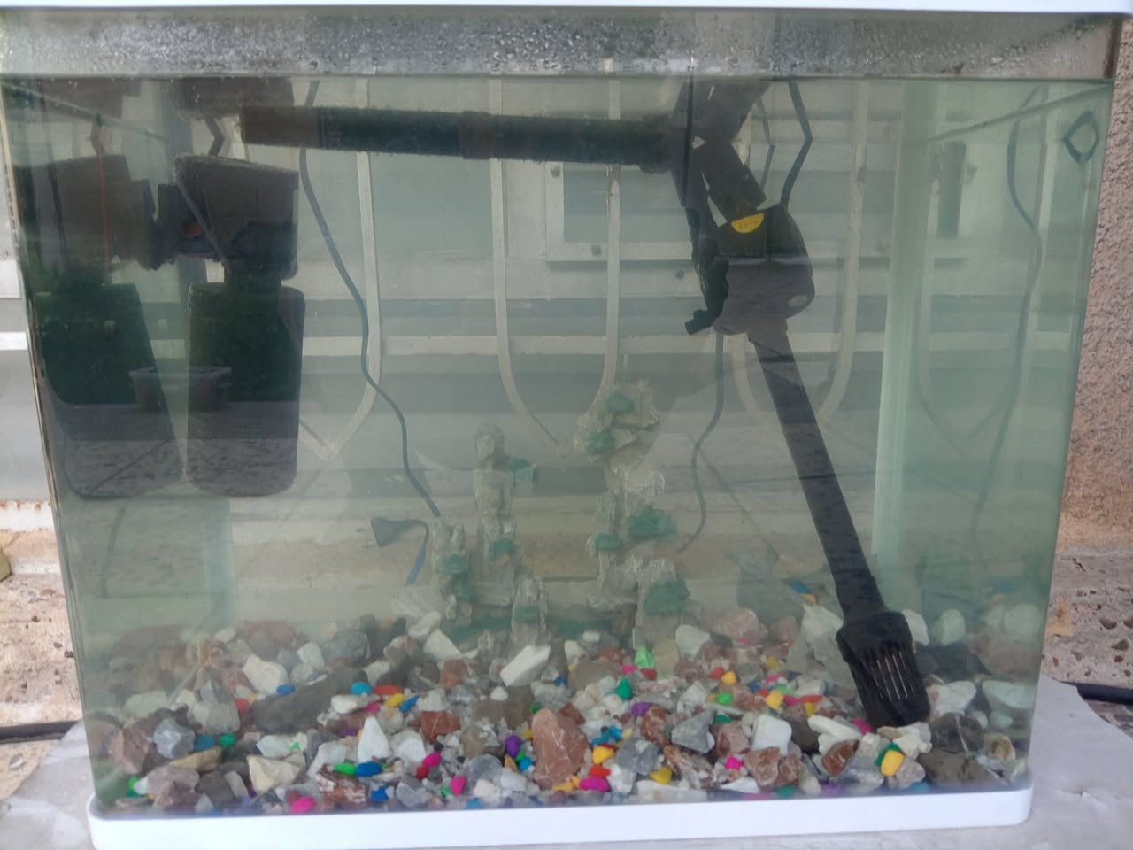 حوض سمك عرض 50 سم
ارتفاع 40سم
نزال 30 سم
مع 2 ماطور مي مع الاحجار والملحقات
بسعر 50 ألف
مكانه بالدورة


**إذا كنت صاحب هذا الإعلان وتريد حذفه لأي سبب، رجاءا أرسل رسالة إلى الدعم الفني**