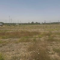 طابو زراعي • ٢٥٠٠م • واجهة ٥٠م