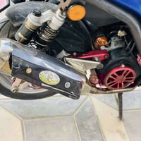 صلنصه نحله اريده مراوس ب صالنصه بوري عدل عده لا يقصر  07712079287