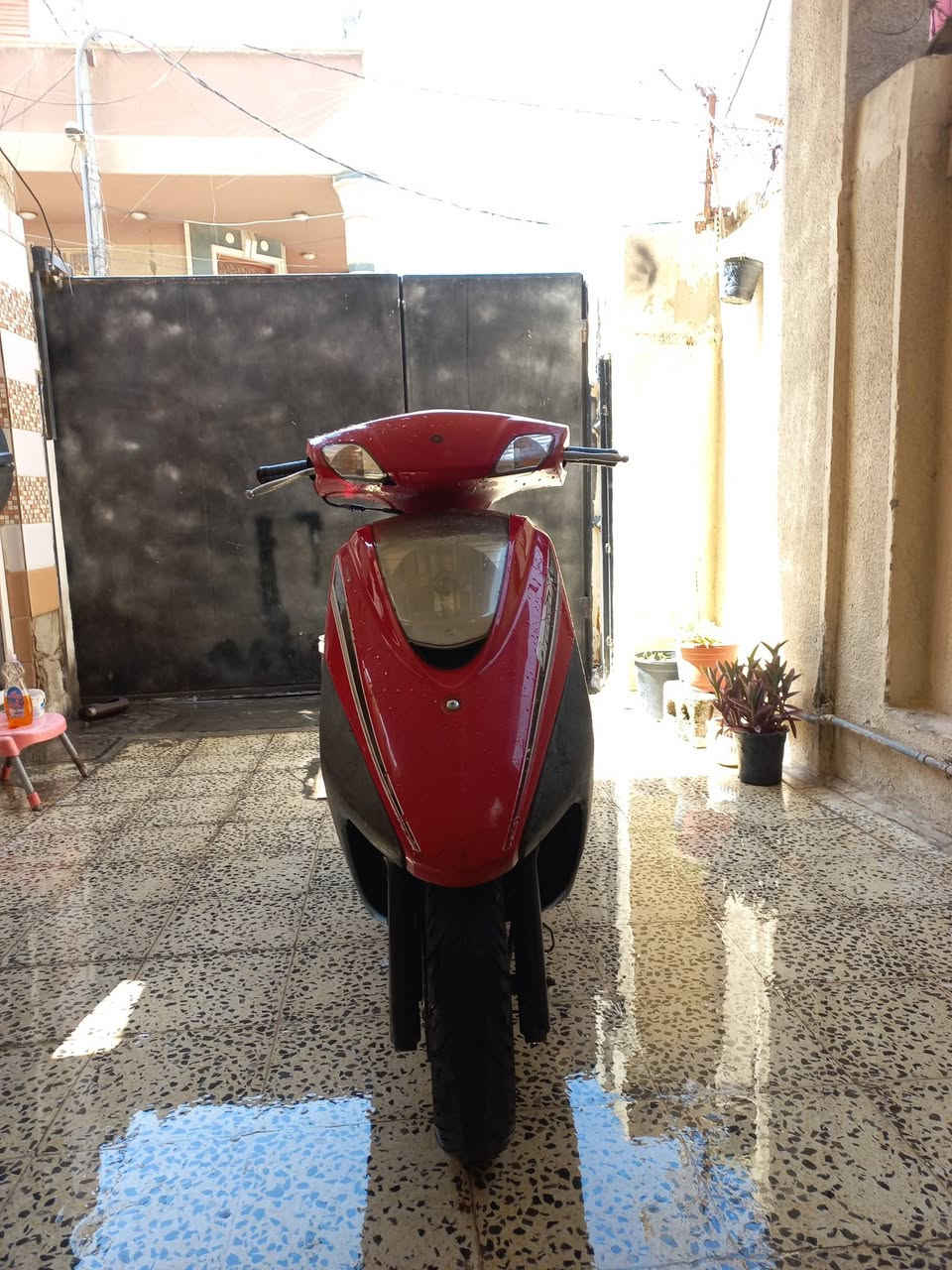 السلام عليكم بريز للبيع ***********/***********
