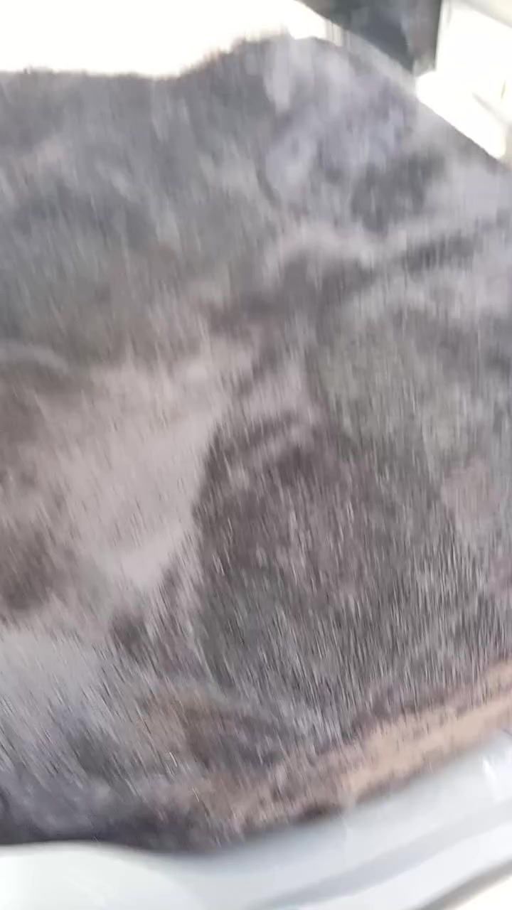 سلام عليكم اوبتر للبيع السياره مكفوله من ضربه ومن صبغ ومن تبديل السياره حلوه مابيه اي نواقص مكفوله مكاني كربلاء اطوريج والخاص مفتوح وهذه رقمي***********
