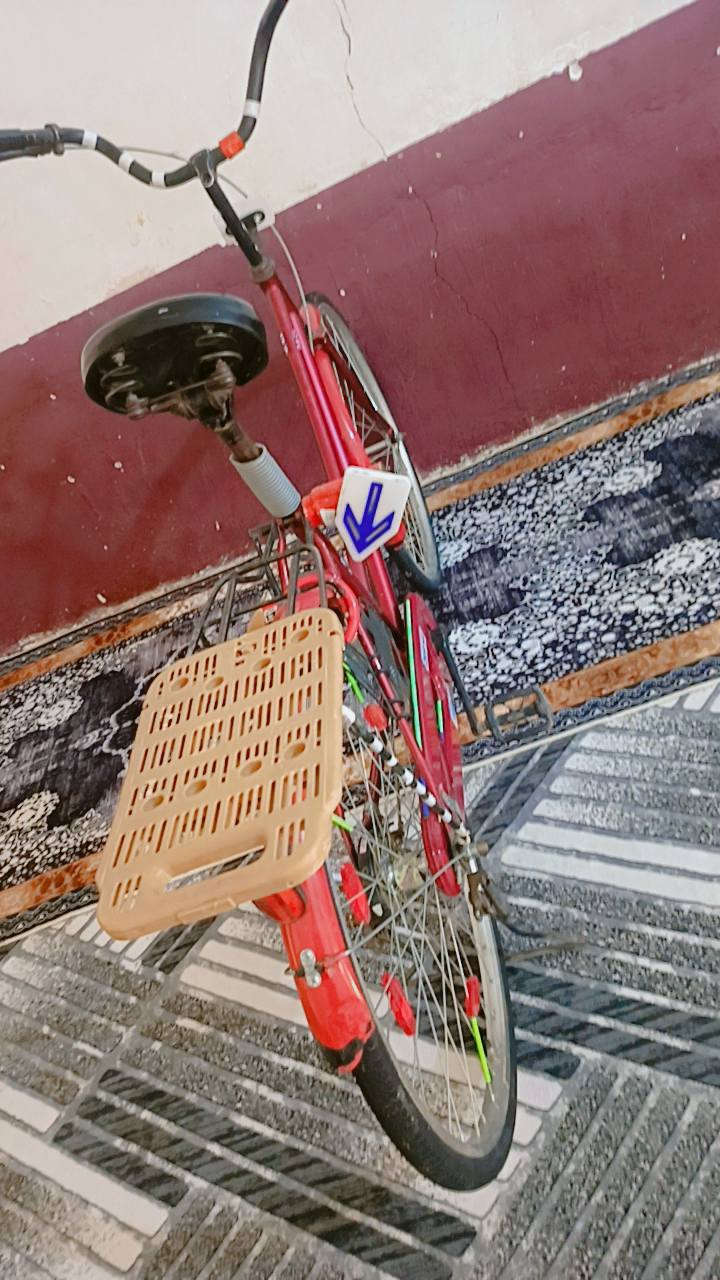 سلام عليكم شباب باسكل حجم 26 باسكل جديد موديل 2016.. نضيف من كلشي بريكات.. مكان ديوانيه حي العسكري شارع 30.. رقم الهاتف.. ***********
