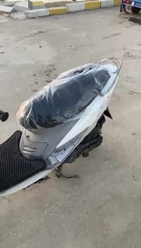 ماكس منغولي • كفاله عامه • برغي