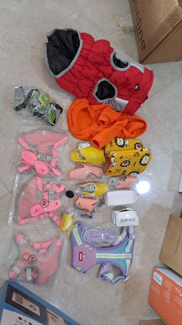 اغراض حيوانات اللي اله بيهن رزق يدفع سعر متواجد فيس بوك


**إذا كنت صاحب هذا الإعلان وتريد حذفه لأي سبب، رجاءا أرسل رسالة إلى الدعم الفني**