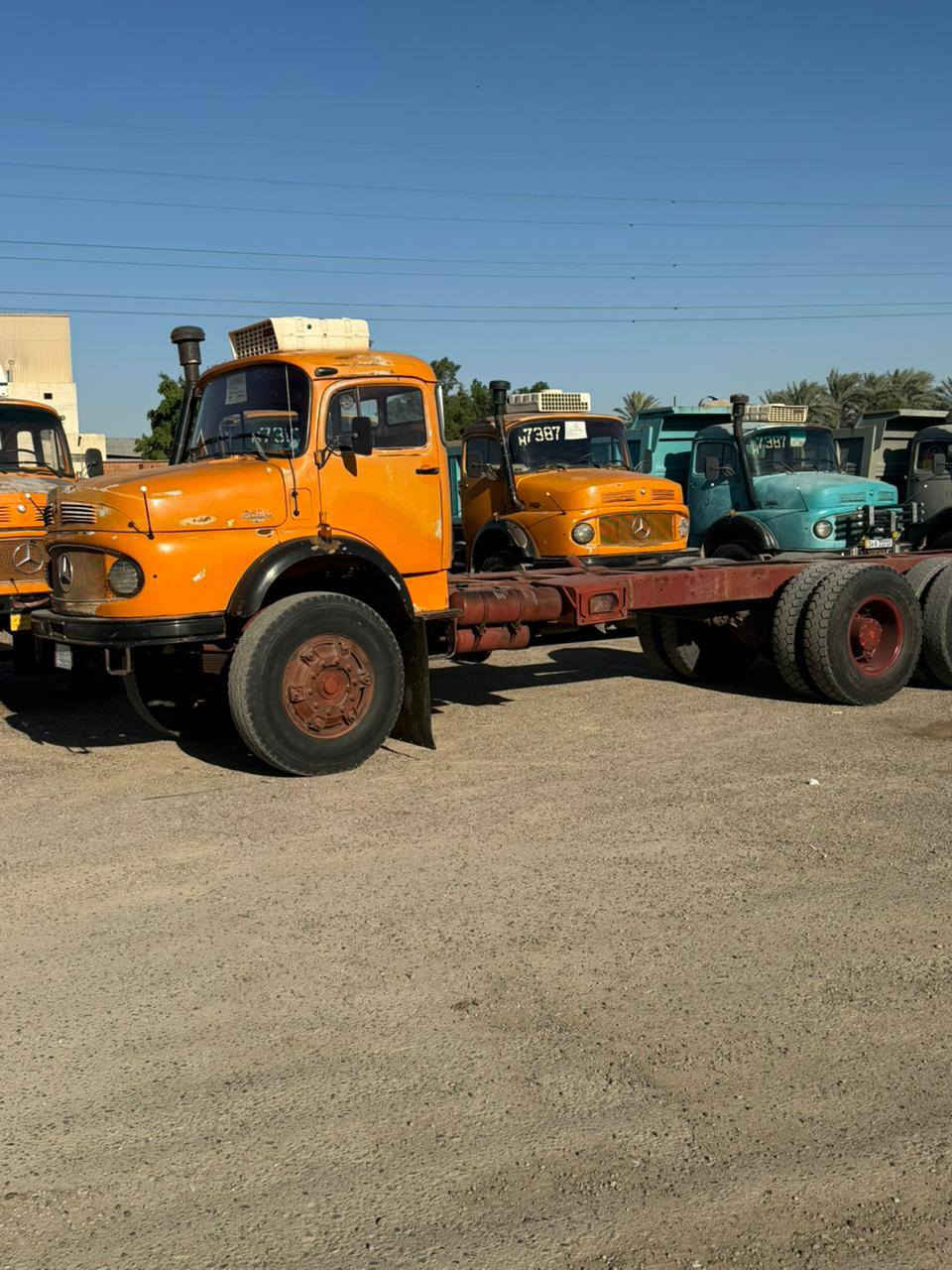 سلام عليكم لبيع سكس شاصي بلادي وضع شركة موديل 82 قماره جديده سعر 85(***********)(***********
