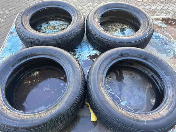 تخم تاير اكسنت حجم 14ابو الخط الابيض نظافه 50./.
العنوان بغداد الرصافه 

السعر 60

***********
