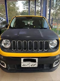 رنجيد • ٢٠١٧ • ١١٠ الف كم