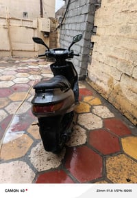 فراشة كرستال • نقوصات • المحمودية