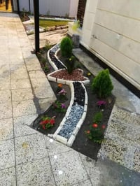 مشتل • شتلات فواكه • توصيل العراق