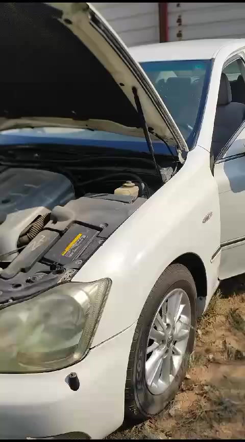 السلام عليكم سياره شاهين كسر كارتون موديل 2004 ادوات گصه بيها بس القماره للبيع سعر 62 وبيها مجال.......


**إذا كنت صاحب هذا الإعلان وتريد حذفه لأي سبب، رجاءا أرسل رسالة إلى الدعم الفني**