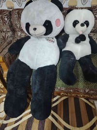 مجال