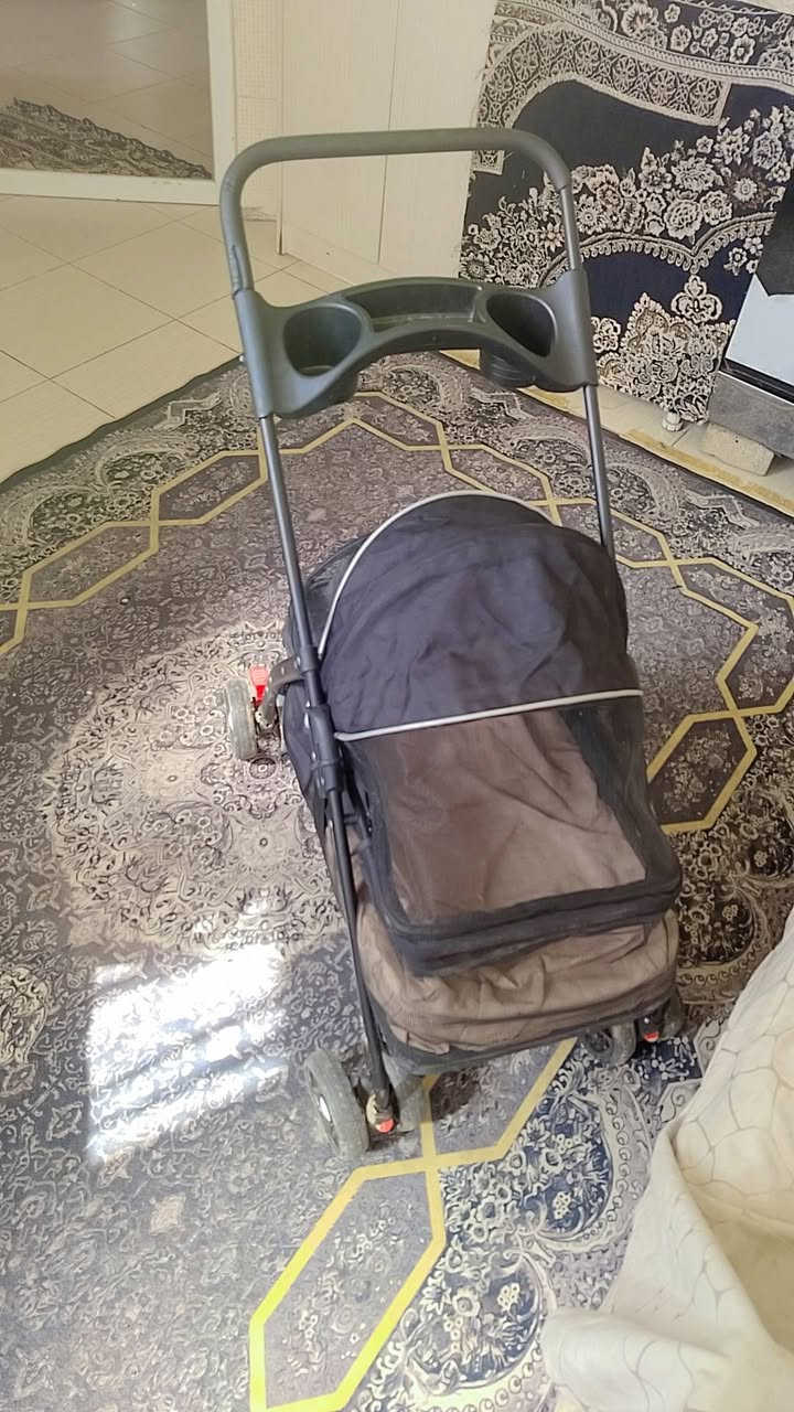 للبيع ثنينهم ب60الف مستعجل على البيع
***********
