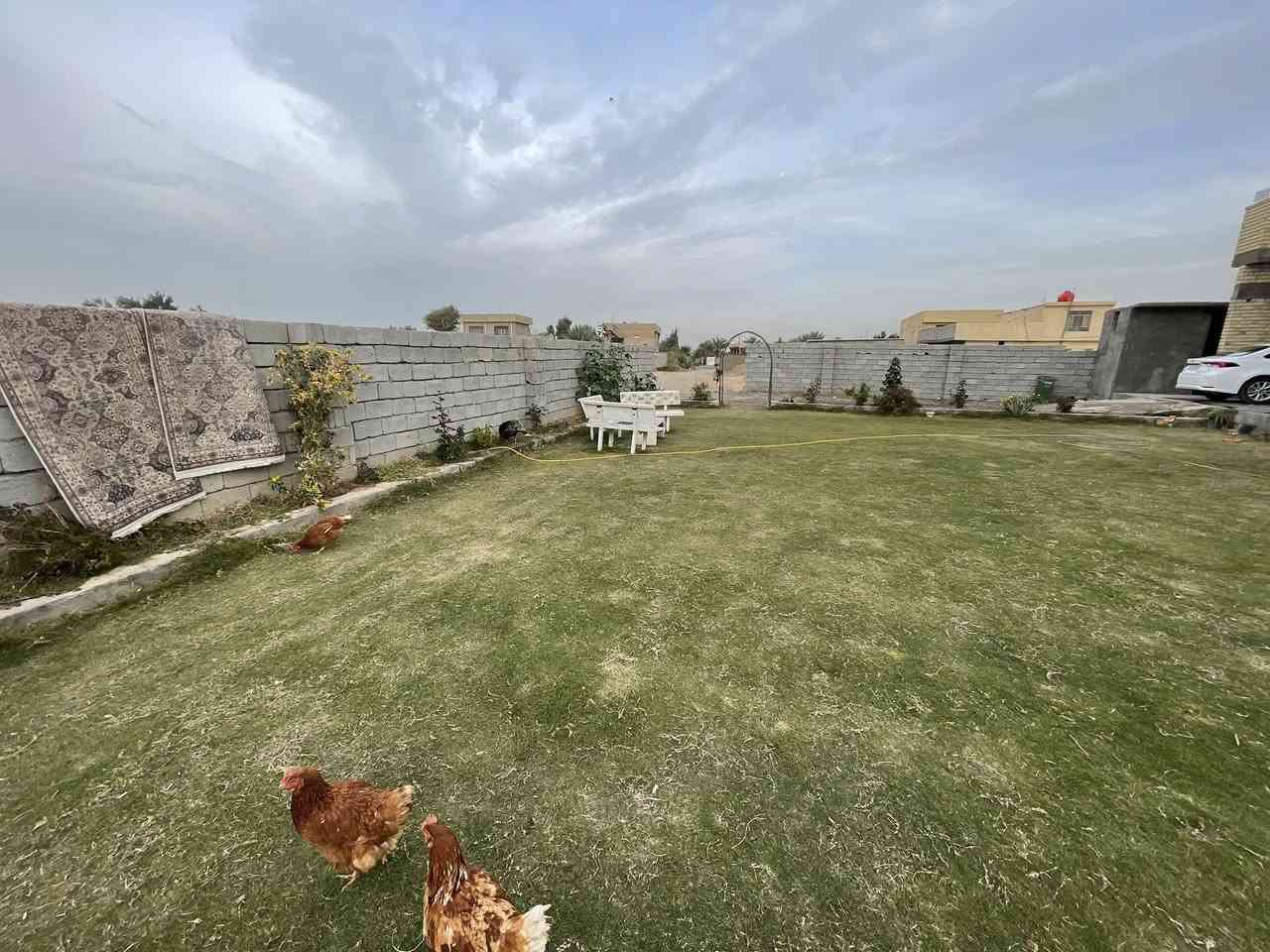 السلام عليكم 
للبيع بيت مساحه 400 متر مع الارض 1600 متر طاير زرعي سند 25 بناء حديث طابوق سنه 2025 يحتوي البيت على 3 غرف نوم و مطبخ حار و بارد و صحن درج كبير و استقبال كبيره و اضافه إلى حديقه مساحته 200 متر  
للاستفسار ***********
