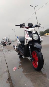 سكنس جبلي • معدلة • رياضي