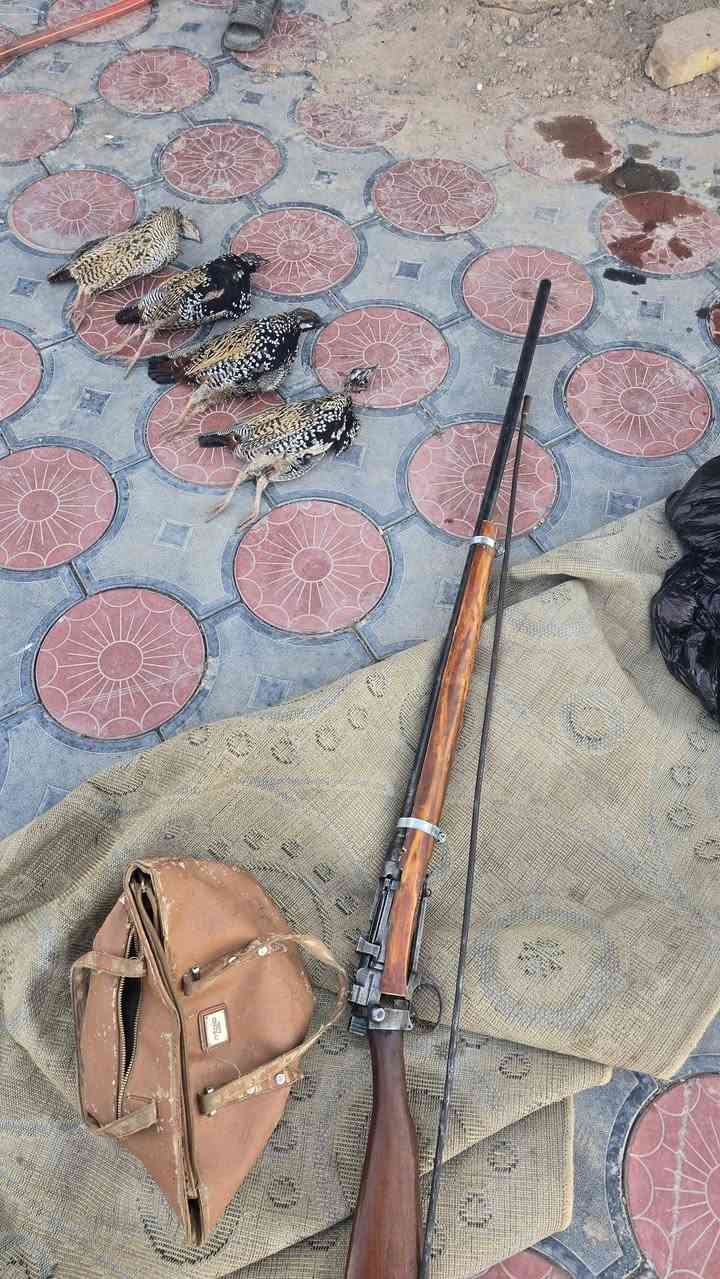 طرمه سركي ( تراثي قديم) للبيع او مراوس بكسرية مفردة .. السعر 150 ألف.


**إذا كنت صاحب هذا الإعلان وتريد حذفه لأي سبب، رجاءا أرسل رسالة إلى الدعم الفني**