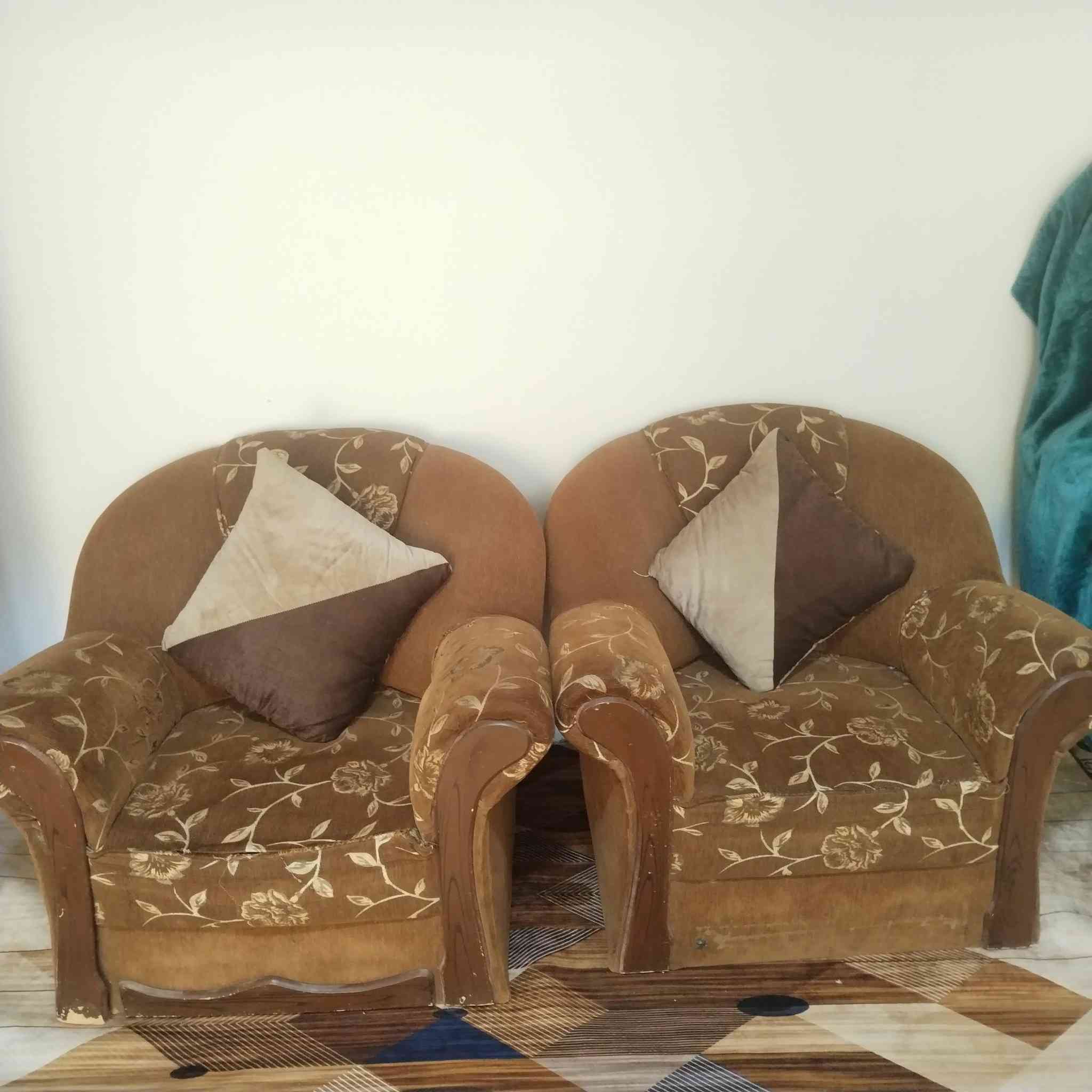 تخم قنفات للبيع السعر ٢٥٠
الاتصال بالرقم ***********
