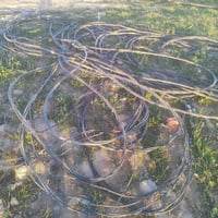 يوجد جديله مال قطاس 250مترالبيع الاتصال 07829166894