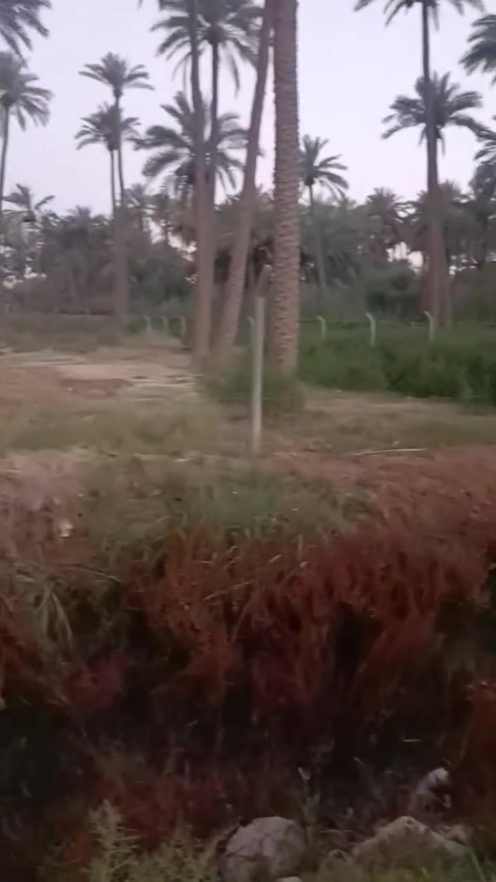 السلام عليكم 
ارض للبيع مساحه 1100 واجهه 19 والنزال 58 طابو زراعي سند 25 تحويل مباشر الاض حلوه ومخدومه قريبه جدا على شارع 100 تبعد عن الشارع 70 متر تقريبا ماء كهرباء الاستفسار اكثر الاتصال على الرقم ***********
