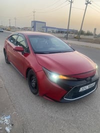 2020 /135/07733701679