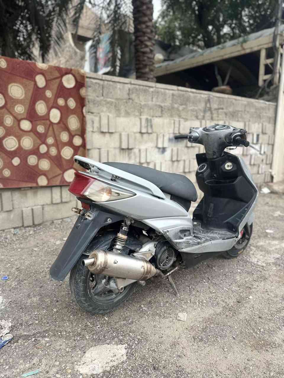 سكنس فحل كفاله عامه ممفتوحه جيب فيتر وتعال من باب البيت تاخذها مفوله الدراجة مابيها اي نقص مكاني بغداد البنوك *********** السعر 550
