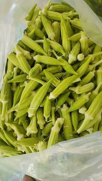 بذور حسيناوية • درجة أولى • كربلاء