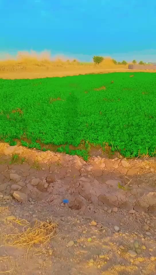 سلام عليكم ٣ دوانم لبيع دوره عرب جبور سند ٢٥ طابو واجها ٥٠ خدمات كهرباء ومي شارع سبيس الاتصال على الرقم *********** مكتب الطائي
