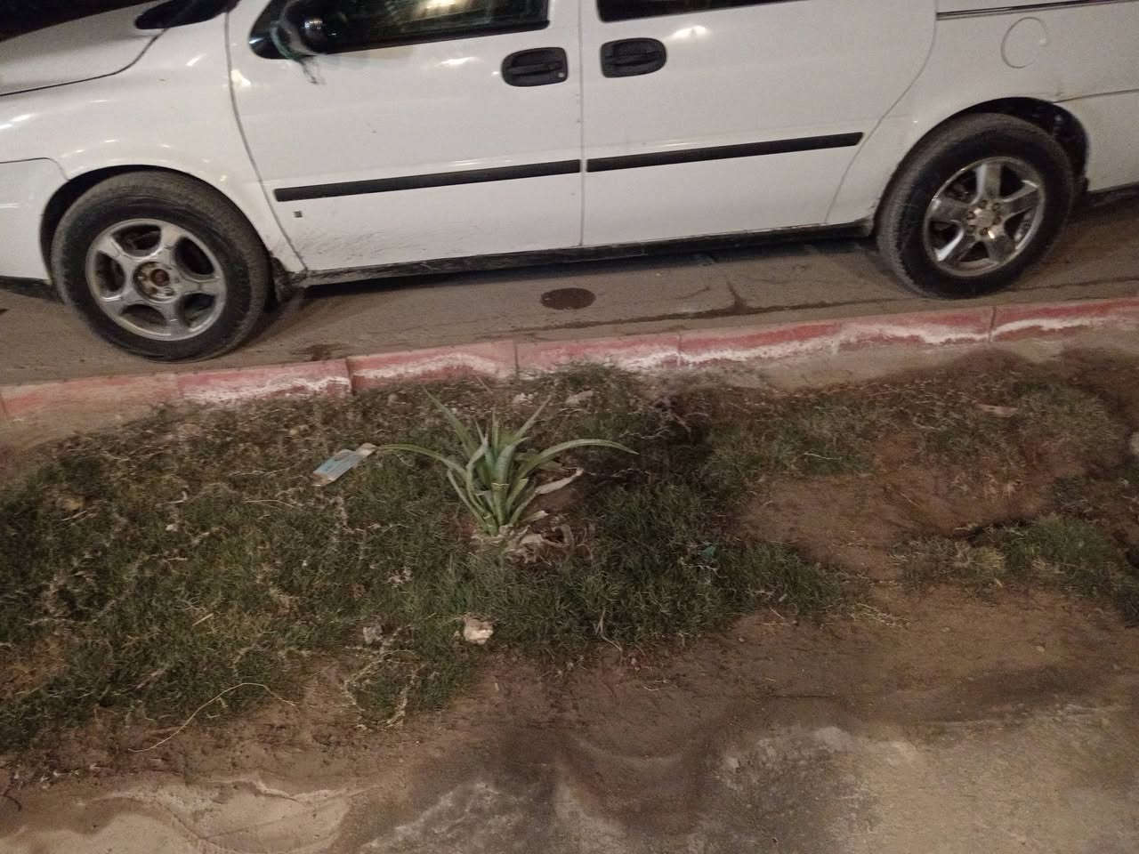 سلام عليكم بلندر ٢٠٠٧للبيع او مراوس رقم نجف سيارة حلوة وخير من الله 
سعر ٥٥
الرقم. ***********
مكان كربلاء
