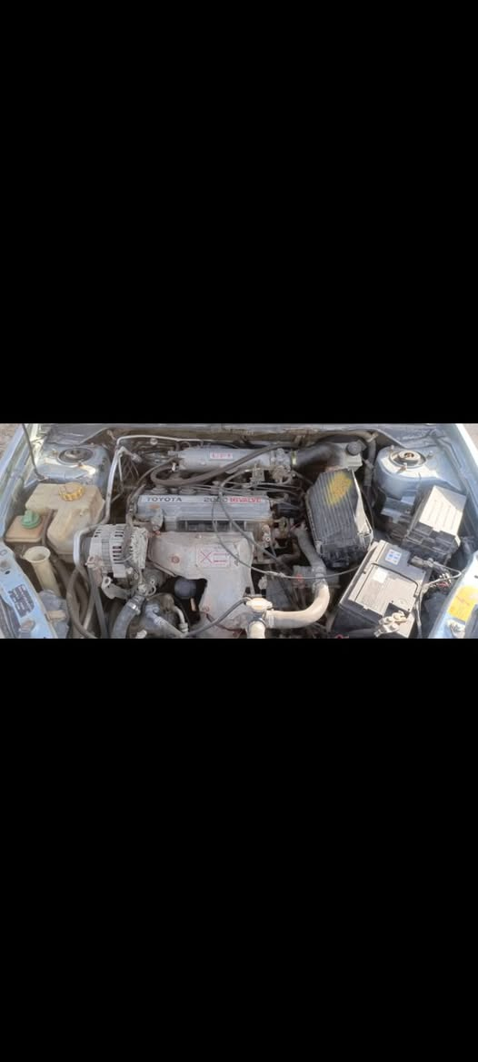 لبيع شيري اي فايف موديل ،2010 مكينه وكير كامري ام جف رقم بغداد نكليزي بسمي كهربائيات كل شغاله سنتر لك ريمونت صدر امامي خلفي جديد سعر 35عنوان حي النصر بغداد شراي يتصل ***********
