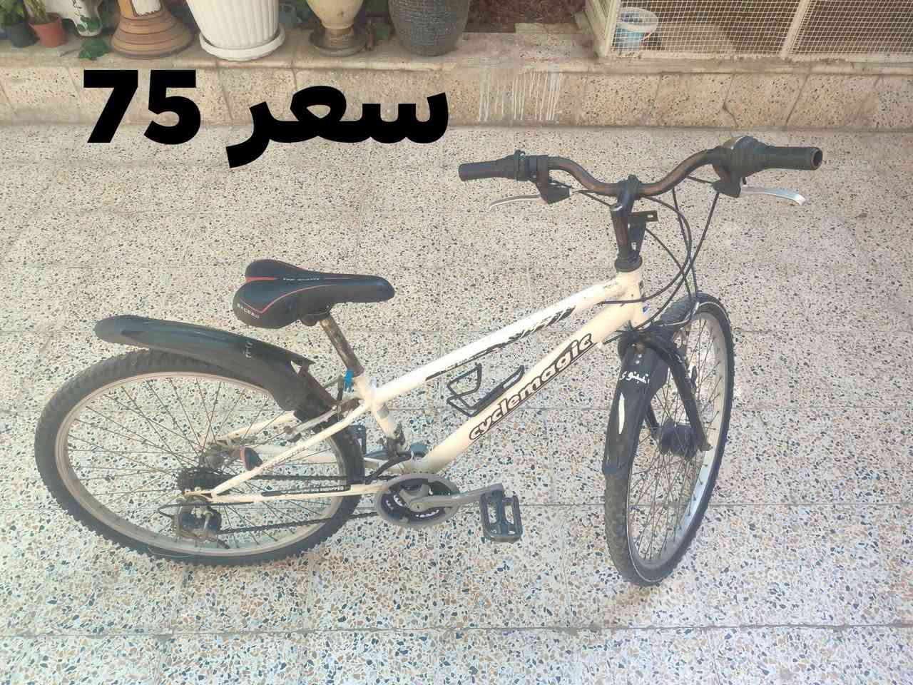 للبيع...


**إذا كنت صاحب هذا الإعلان وتريد حذفه لأي سبب، رجاءا أرسل رسالة إلى الدعم الفني**