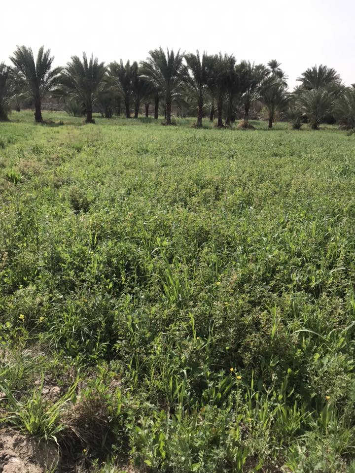 السلام عليكم
يوجد جت الضمان الاستفسار الاتصال***********
