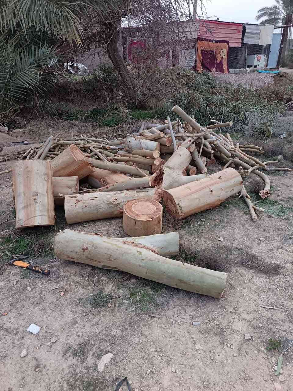 حطب خشن للبيع


**إذا كنت صاحب هذا الإعلان وتريد حذفه لأي سبب، رجاءا أرسل رسالة إلى الدعم الفني**