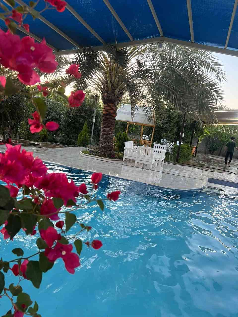 مزرعة الرضا 🍇🍇🍇🍏🍏🍏بلد
للأمانه بستان تجنن وأجواءها ريفيه وفواكه المزرعه كلها متاحه للزبون للأكل مساحتها دونمين يعني خمسه الاف متر ومتوفر كل الخدمات بيها اهلا وسهلا بضيوفنا الاعزاء
للحجز ***********
