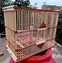 قفص جديد • مكاني كوت الشرقية • للبيع