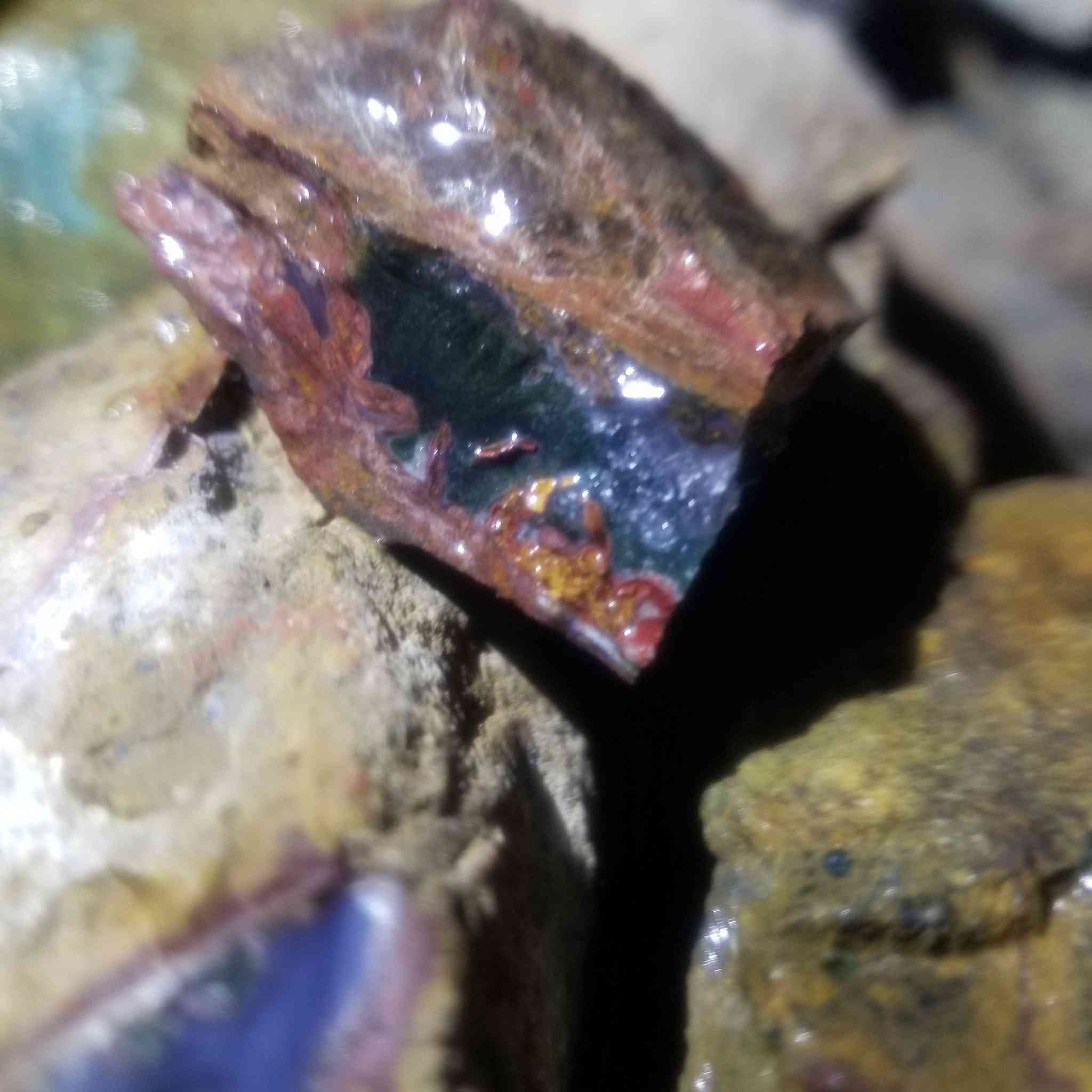 @#عقيق #يماني


**إذا كنت صاحب هذا الإعلان وتريد حذفه لأي سبب، رجاءا أرسل رسالة إلى الدعم الفني**