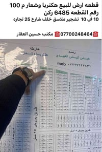 العامريه الثانيه • اراضي هكتاريه • ١٠٠هكتار