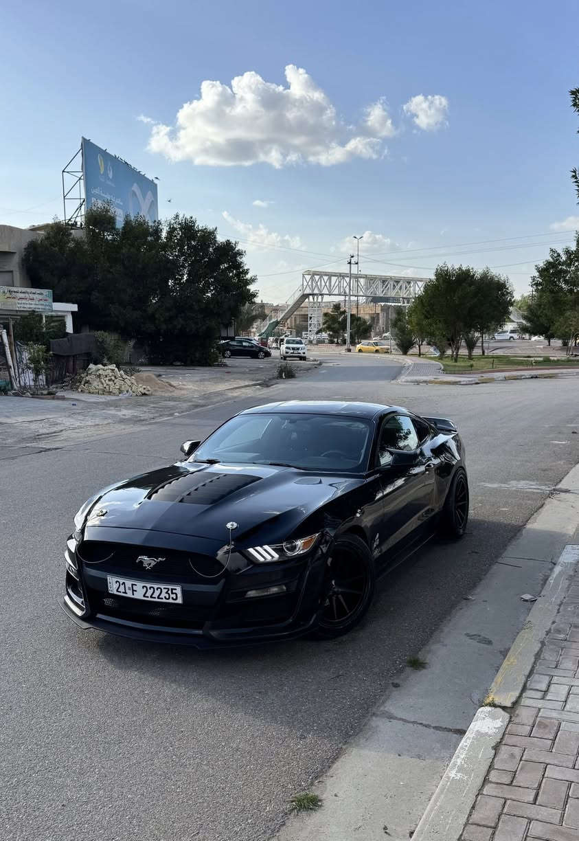 السلام عليكم 
فورد موستنك 2016 / مكينه V6  كير عادي ماشيه 70 مايل حقيقيي السياره جديده بمعنى الكلمه رقم سليمانيه مميز مكان السياره بغداد السيديه وهذا رقمي *********** حيدر
