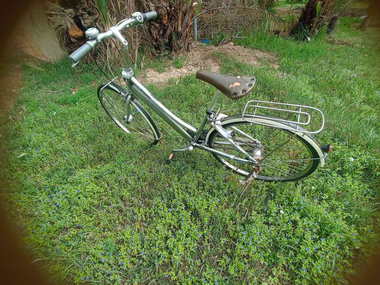 بايسكل بناتي للبيع حجم(27)بايسكل بدون قطره صبغ صبغ شركه ياباني حاويه بداله 3نمر منضومه قايش بريكات شغاله امامي وخلفي دينمو 23W قفل امامي وخلفي 

ومكاني ذي قار لغراف 
لرقم ***********واتساب
لسعر خاص
